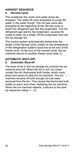Page 84 Thumbnail